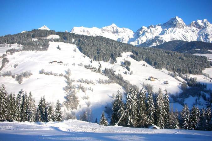 Ferienwohnung Klappacher Maria Alm am Steinernen Meer Exterior photo